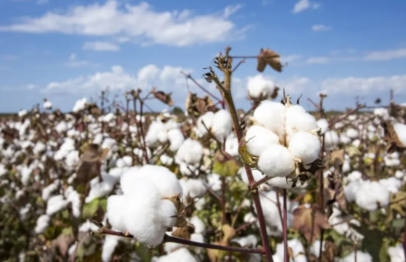 ScreenShot_2025-11-22_103502_165